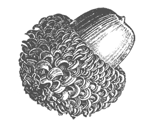 logo design richmond virginia